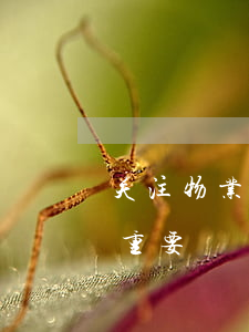 关注物业咨询|半年物业催费季，对症下药很重要！